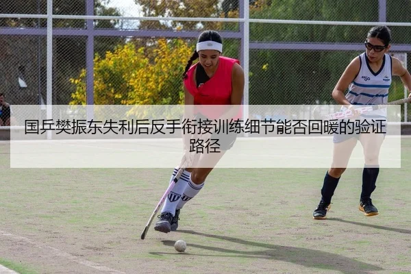 国乒樊振东失利后反手衔接训练细节能否回暖的验证路径